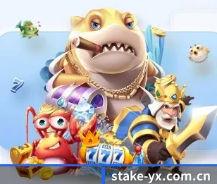 五大服务分区,信息按项目分类 - 多运动项目内容板块 - stake.com